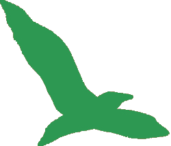 bird green